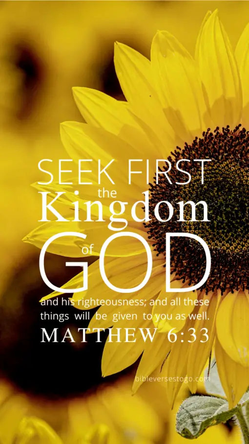 Christian Wallpaper – Sunflower Matthew 6:33