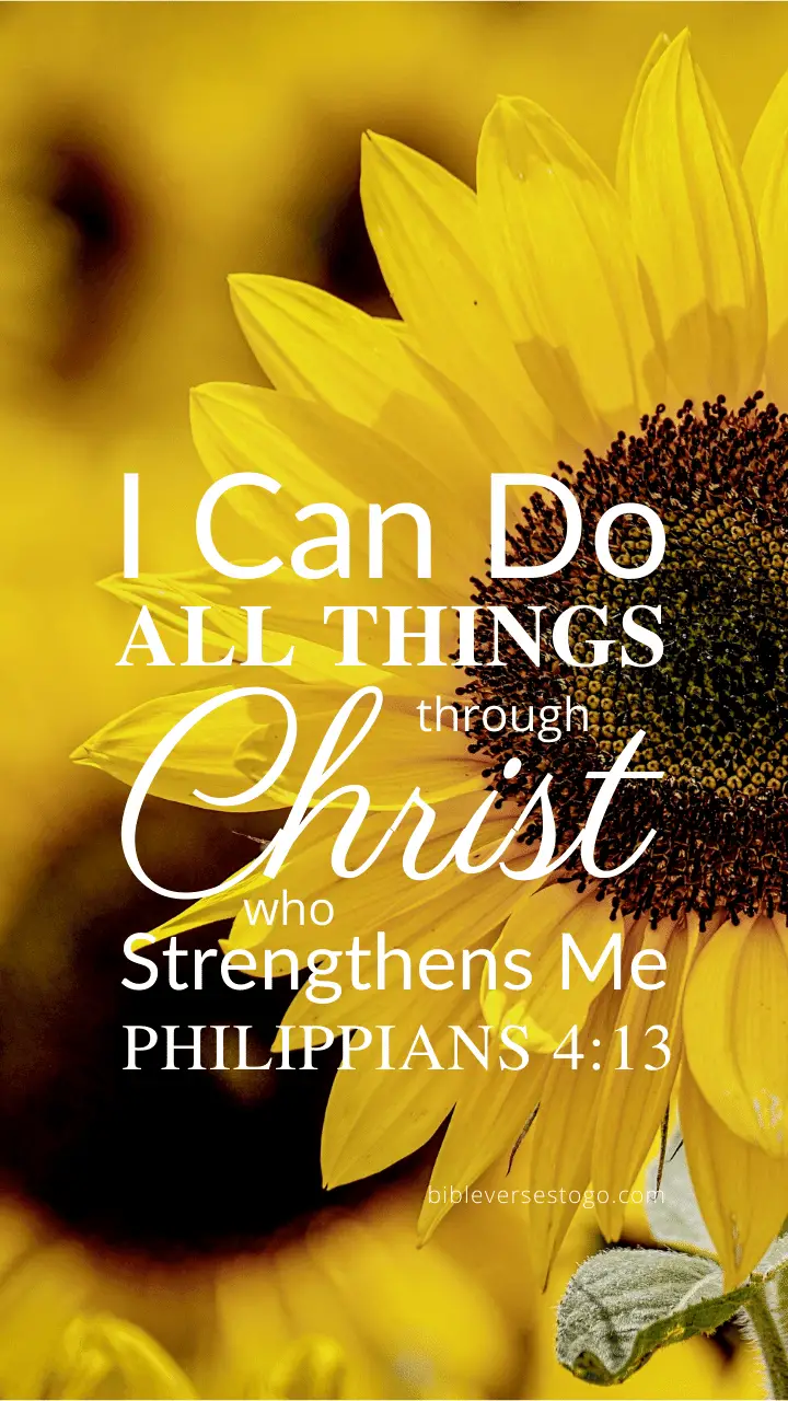 Sunflower Philippians 413  Encouraging Bible Verses