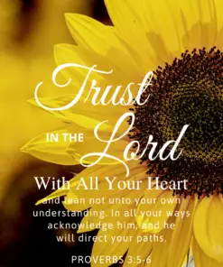 Christian Wallpaper - Sunflower Proverbs 3:5-6