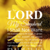 Christian Wallpaper – Sunflower Psalm 23:1-3