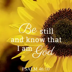 Sunflower Romans 15:13 – Encouraging Bible Verses