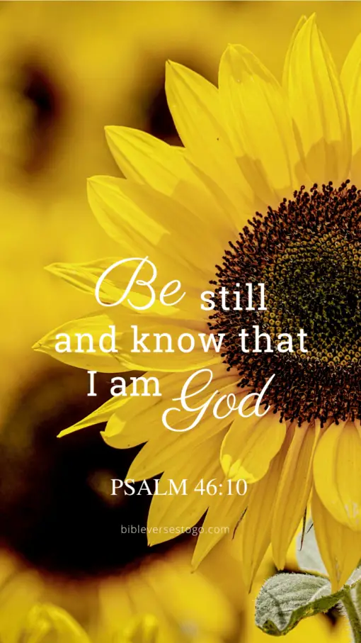 Christian Wallpaper – Sunflower Psalm 46:10