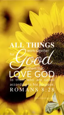 Sunflower Romans 8:28 – Encouraging Bible Verses