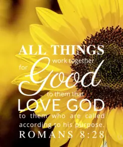 Christian Wallpaper – Sunflower Romans 8:28