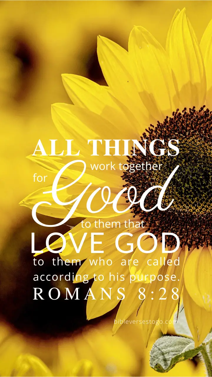 Sunflower Romans 8:28 - Encouraging Bible Verses