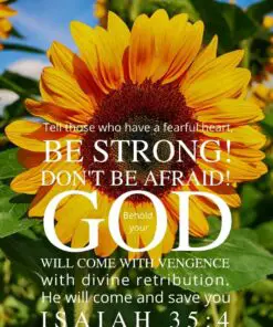 Christian Wallpaper - Sunflowers Isaiah 35:4