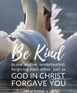 Christian Wallpaper - Swans Ephesians 4:32