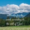 Christian Wallpaper - The Meadow Romans 8:27