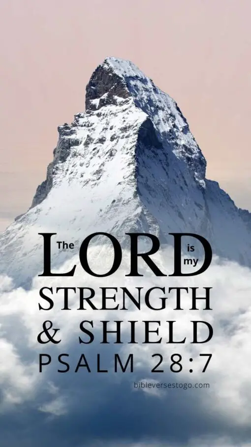 Christian Wallpaper - The Rock Psalm 28:7