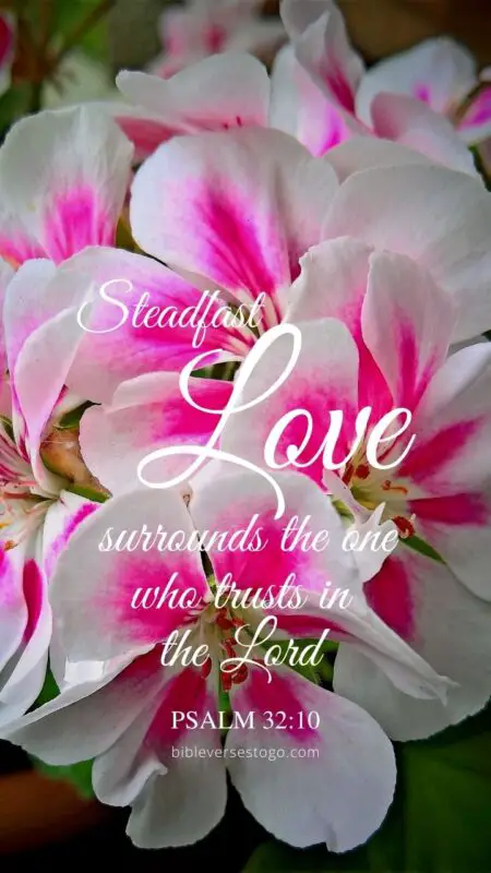 Touch of Pink Psalm 32:10 – Encouraging Bible Verses