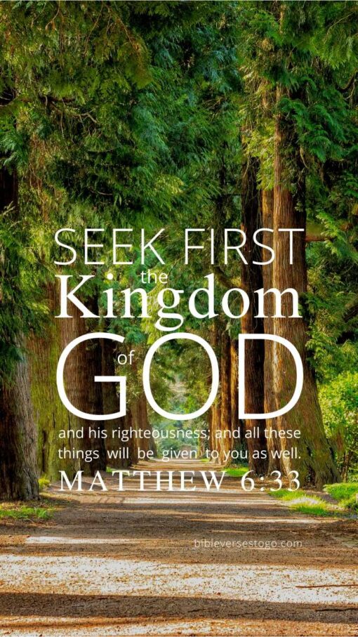 Christian Wallpaper – Treeline Matthew 6:33