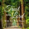Christian Wallpaper – Treeline Proverbs 3:5-6