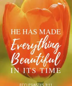 Christian Wallpaper - Tulip Ecclesiastes 3:11