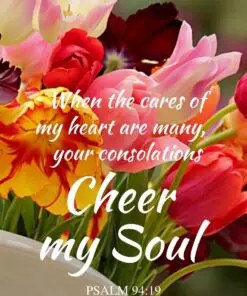 Christian Wallpaper - Tulip Garden Psalm 94:19