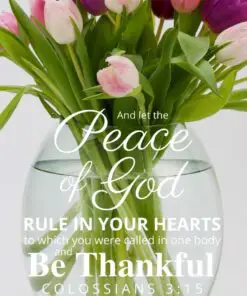 Christian Wallpaper - Tulip Vase Colossians 3:15
