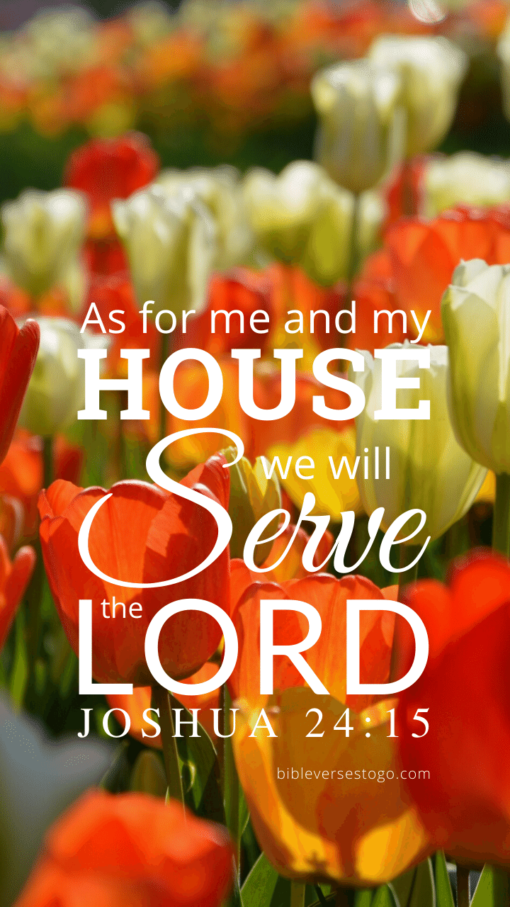 Christian Wallpaper – Tulips Joshua 24:15