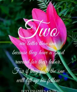 Christian Wallpaper - Two Tulips Ecclesiastes 4:9-10
