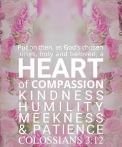 Christian Wallpaper - Vintage Pink Colossians 3:12