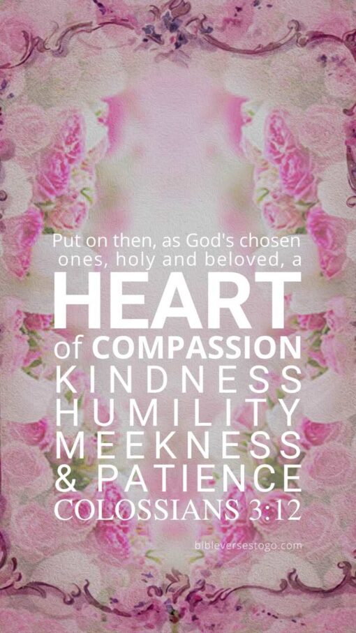 Christian Wallpaper - Vintage Pink Colossians 3:12