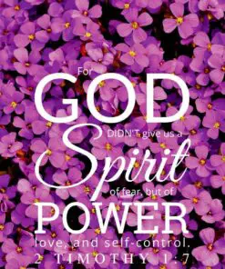 Christian Wallpaper – Violets 2 Timothy 1:7