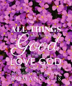 Christian Wallpaper – Violets Romans 8:28