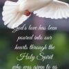 Christian Wallpaper - White Dove Romans 5:5