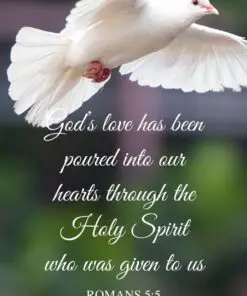 Christian Wallpaper - White Dove Romans 5:5