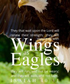Christian Wallpaper - White Tail Eagle Isaiah 40:31