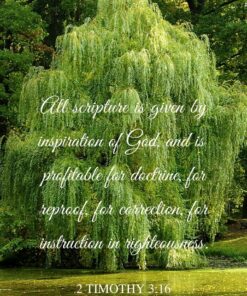 Christian Wallpaper - Willow Pond 2 Timothy 3:16