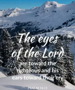Christian Wallpaper - Winter Pines Psalm 34:15