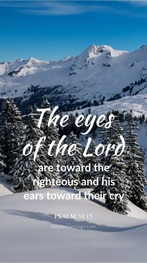 Christian Wallpaper - Winter Pines Psalm 34:15