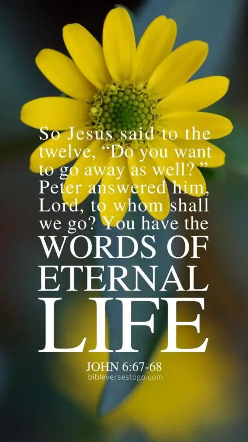 Christian Wallpaper - Words of Life John 6:67-68