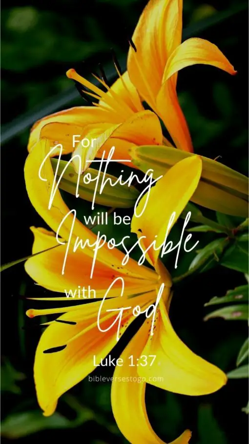 Christian Wallpaper - Yellow Lilies Luke 1:37