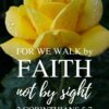 Christian Wallpaper - Yellow Rose 2 Corinthians 5:7