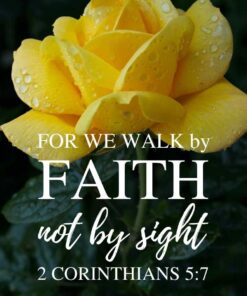 Christian Wallpaper - Yellow Rose 2 Corinthians 5:7