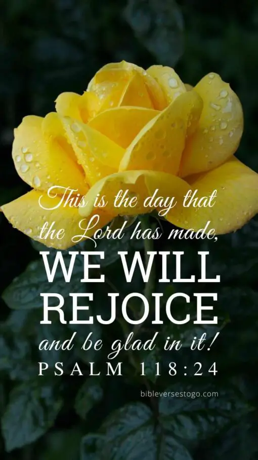 Christian Wallpaper – Yellow Rose Psalm 118:24