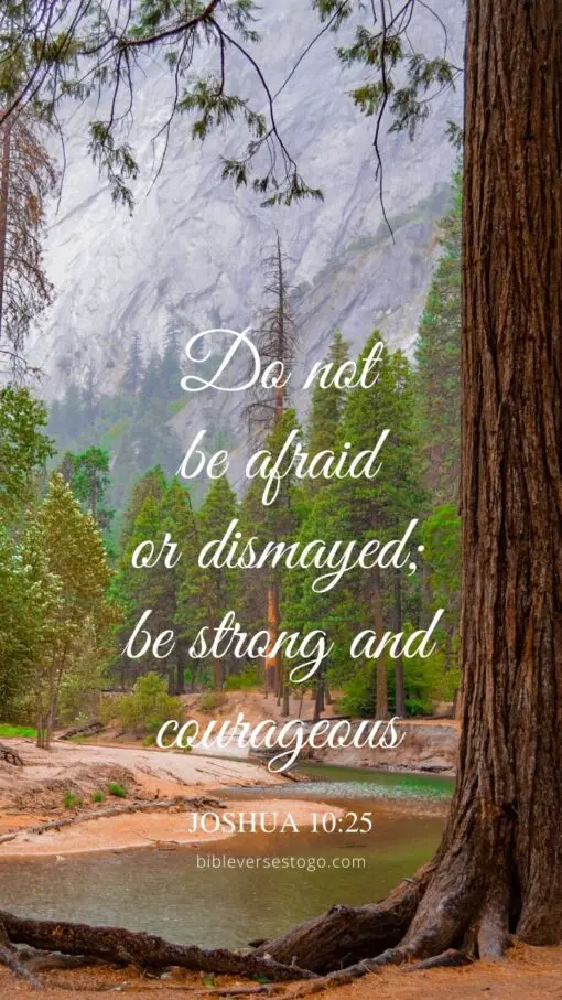 Christian Wallpaper - Yosemite Redwoods Joshua 10:25