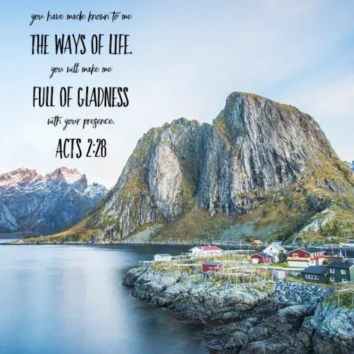 Acts 2:28 - Full of Gladness - Bible Verses To Go
