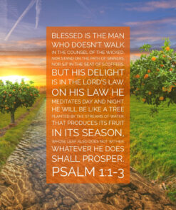 Psalm 1:1-3 - He Shall Prosper