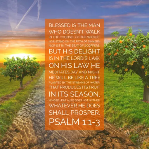 Psalm 1:1-3 - He Shall Prosper