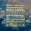 1 Peter 1:8 - Unspeakable Joy - Bible Verses To Go
