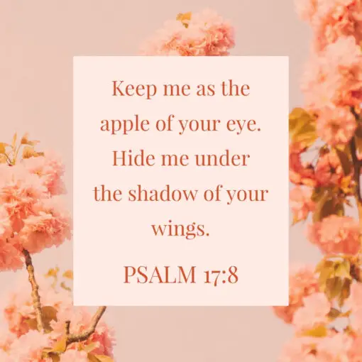Psalm 17:8 - Shadow of Your Wings - Bible Verses To Go