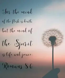 Romans 8:6 - The Mind of the Spirit is Life and Peace - Bible Verses To Go