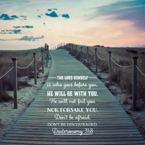 Deuteronomy 31:8 - The Lord Goes Before You - Bible Verses To Go