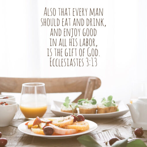 Ecclesiastes 3:13 - Enjoy Good in All Your Labor