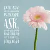 John 16:24 - Ask, Receive, and Full Joy