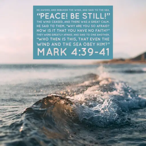 Mark 4:39-41 - Peace Be Still - Bible Verses To Go