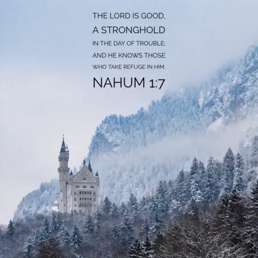 Nahum 1:7 - Take Refuge in Him - Bible Verses To Go