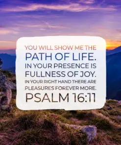 Psalm 16:11 - In Your Presence Is Fullness of Joy - Bible Verses To Go