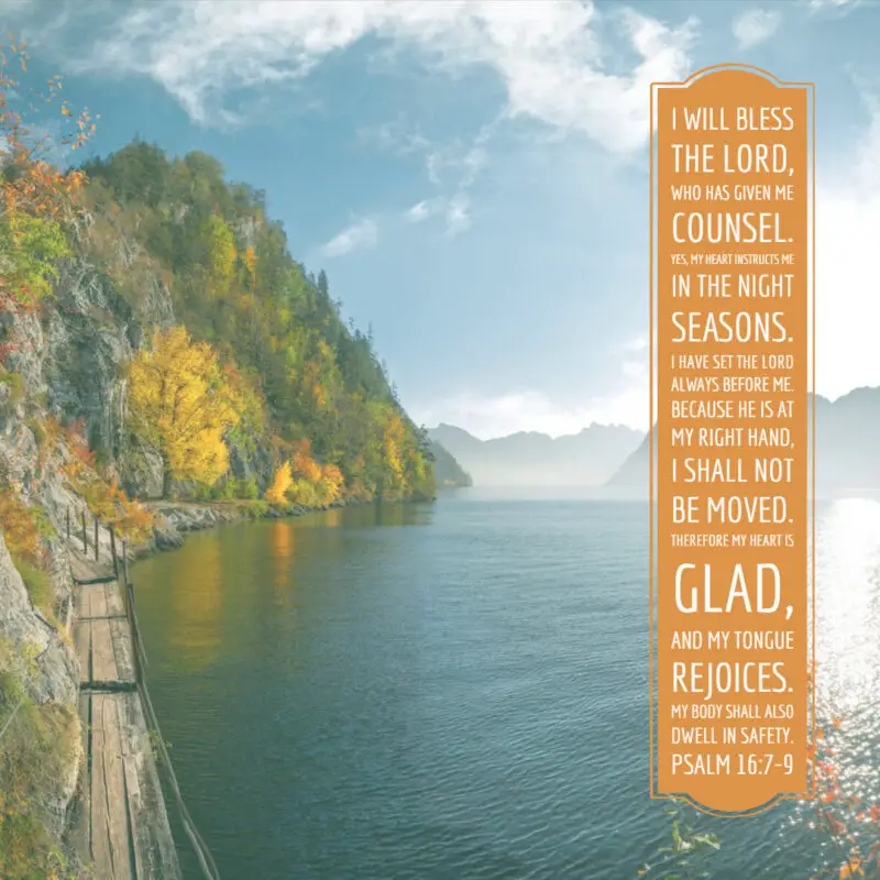 Psalm 17 8 Shadow Of Wings Encouraging Bible Verses psalm-17-8-shadow-of-wings-encouraging-bible-verses